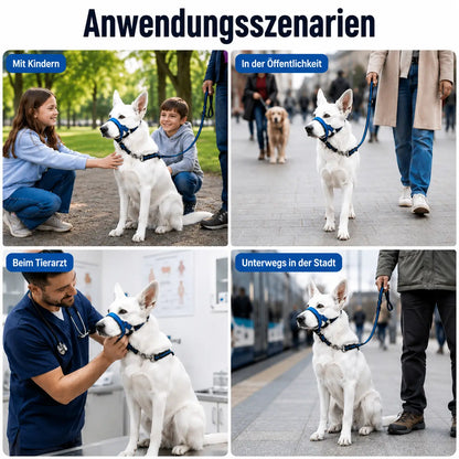 Hundehalfter gegen Ziehen | Verstellbar für Gassi gehen