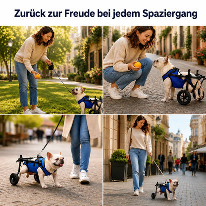 Lightweight Adjustable Dog Care Wheelchair | Stable & Comfortable