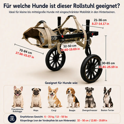 Adjustable Dog Cart for Hind Legs | Mobility Aid