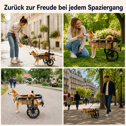 Adjustable Dog Cart for Hind Legs | Mobility Aid