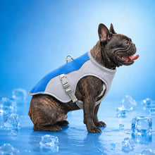 Dog Cooling Vest | Breathable, UV Protection & Adjustable