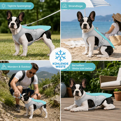 Dog Cooling Vest | Breathable, UV Protection & Adjustable