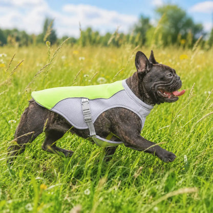Dog Cooling Vest | Breathable, UV Protection & Adjustable