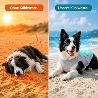 Dog Cooling Vest | Breathable, UV Protection & Adjustable