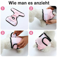 Washable dog diapers | Leak-proof & Breathable