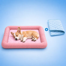 Kühlendes Hundebett | Mehr Kühlkomfort mit GRATIS Kühlmatte
