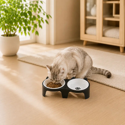 Cat Bowl made of Wood & Ceramic | Elevated Double Bowl with Incline
