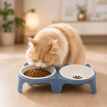 Cat Bowl made of Wood & Ceramic | Elevated Double Bowl with Incline