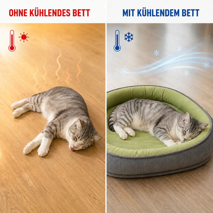 Kühlendes Katzenbett | Atmungsaktiv & Waschbar