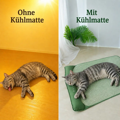 Kühlendes Katzenbett | Atmungsaktiv, Weich & Sommerkomfort