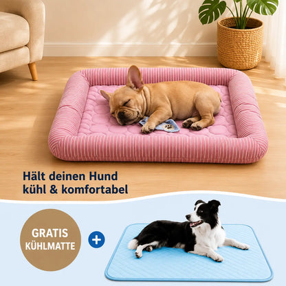 Kühlendes Hundebett | Mehr Kühlkomfort mit GRATIS Kühlmatte