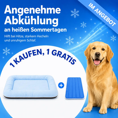 Kühlendes Hundebett | Mit GRATIS Kühlmatte & Komfort