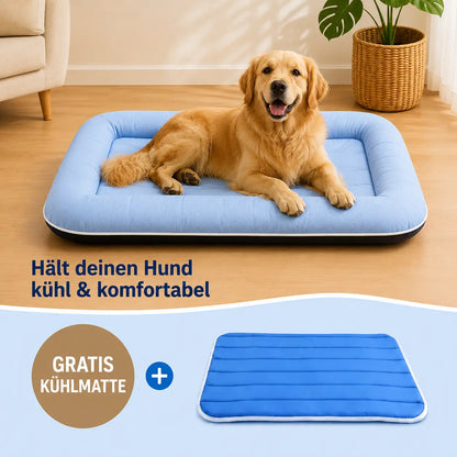 Kühlendes Hundebett | Mit GRATIS Kühlmatte & Komfort