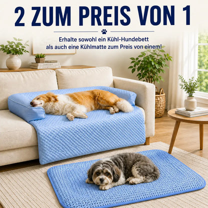 Kühlendes Hundebett | Waschbar, Wasserdicht & GRATIS Kühlmatte