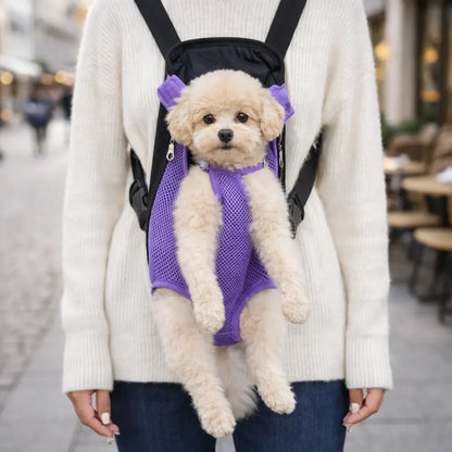 Katzen & Kleine Hunde Rucksack Transporttasche | Atmungsaktiv