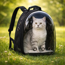Cat Backpack Carrier | Capsule Cat Backpack Breathable