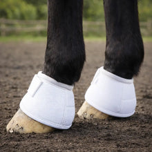 Horse Hoof Bells Neoprene | Shock-Absorbing Hoof Protection for Equestrian Sports