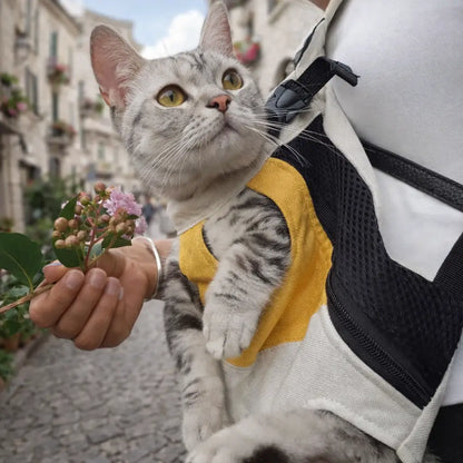 Cat Carrier Backpack | Breathable Cat Transport Bag