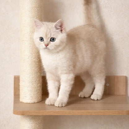 Cat Scratching Post Wall | Wall Climbing Tree with Cave & Lying Area