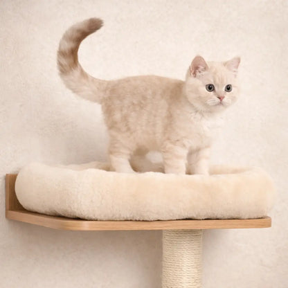 Cat Scratching Post Wall | Wall Climbing Tree with Cave & Lying Area