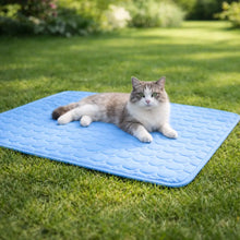 Cooling Mat for Cats | Breathable Summer Cat Mat