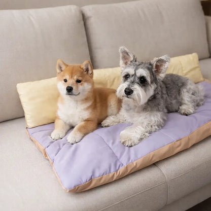 Foldable Dog Mat | Water-Resistant Travel & Outdoor Mat