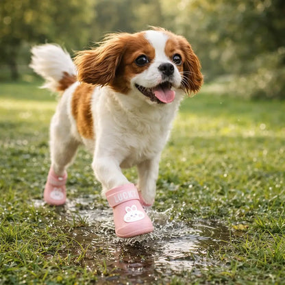 Waterproof & Non-Slip Dog Shoes | With Velcro for Rain & Snow