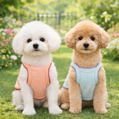 Dog Clothing Dog Shirt | Summer T-Shirt for Small Dogs