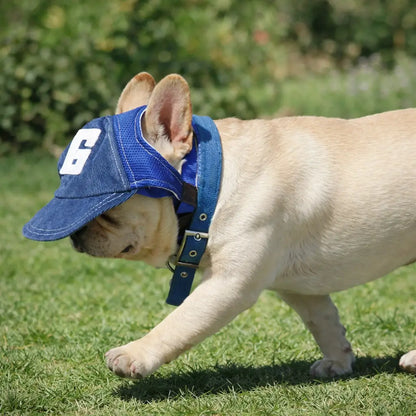 Dog Cap Sun Protection | Adjustable Dog Hat with Ear Holes