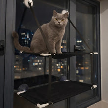Cat Window Hammock | Double Cat Bed with Suction Cup