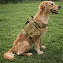 Dog Harness Pouch MOLLE Set | Tactical Dog Bag Outdoor