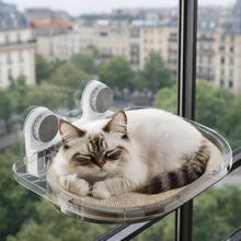 Cat Hammock Window | Acrylic Window Lounger with Suction Cups