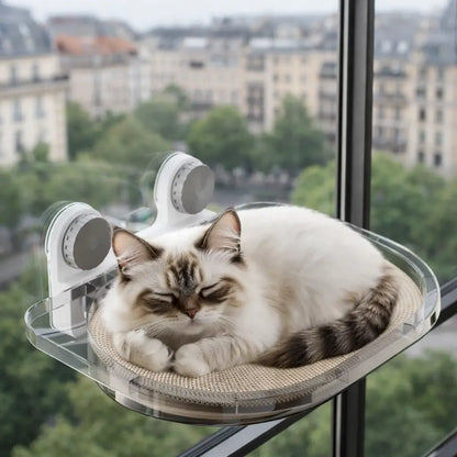 Katzen Hängematte Fenster | Acryl Fensterliege mit Saugnäpfen