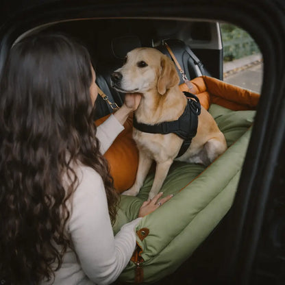 Deluxe Dog Travel Bed & Car Seat | Extra Large for Safe Transport