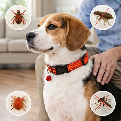 Zeckenhalsband für Hunde | Verstellbarer Schutz vor Insekten