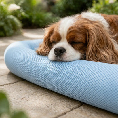 Cooling Dog Bed Summer | Breathable Cooling Mat Non-Slip