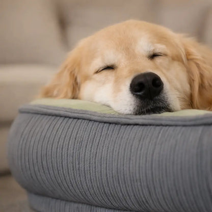 Cooling Dog Bed | Breathable & Washable