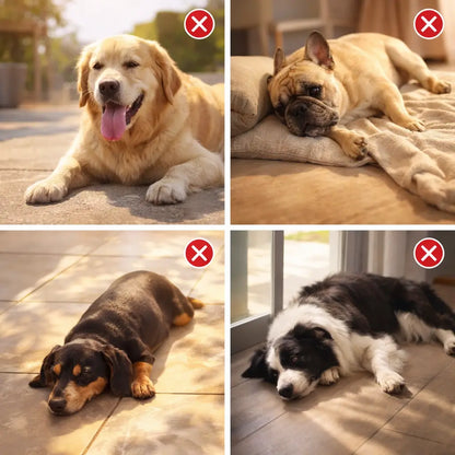 Cooling Mat for Dogs | Self-Cooling & Scratch-Resistant for Summer