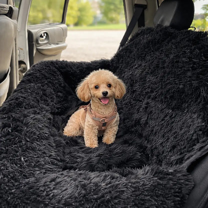 RideBuddy – Le siège auto premium pour voyages canins détendus
