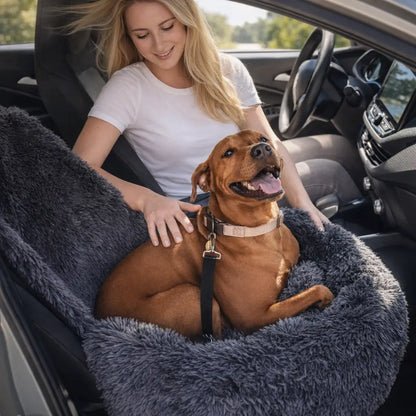 RideBuddy – Le siège auto premium pour voyages canins détendus