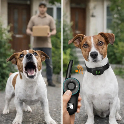 Anti-Bell Hunde Halsband mit Fernbedienung | Wasserdicht & USB