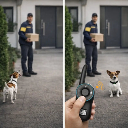 Anti-Bell Hunde Halsband mit Fernbedienung | Wasserdicht & USB