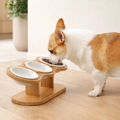 Dog Bowl with Wooden Stand | Height Adjustable 3-Piece Dog Feeding Bowl