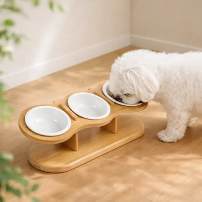 Dog Bowl with Wooden Stand | Height Adjustable 3-Piece Dog Feeding Bowl