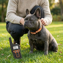 Dog Collar | Training & Anti-Bark Training with Vibration & Sound