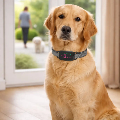 Anti-bark collar with sound & vibration – Gentle, automatic collar against barking