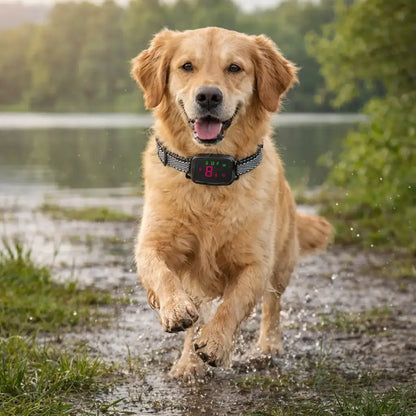 Anti-bark collar with sound & vibration – Gentle, automatic collar against barking