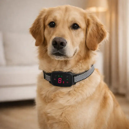 Anti-bark collar with sound & vibration – Gentle, automatic collar against barking