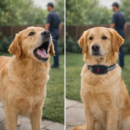 Anti-bark collar with sound & vibration – Gentle, automatic collar against barking