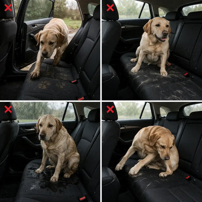Dog Car Seat Back | waterproof, washable & with transport bag